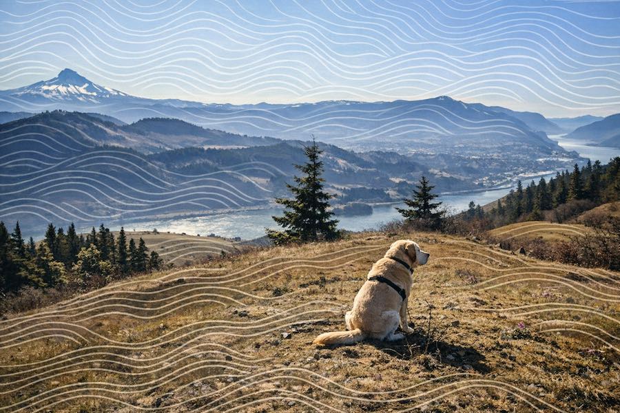 Welcome to Rikitraki